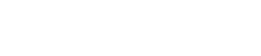 TMT Velocity Logo in white