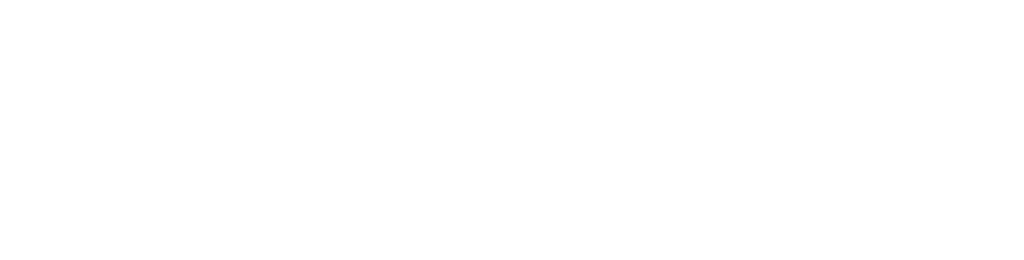 TMT Verify Logo in white